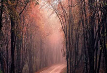 亿万28娱乐-高尔夫杯赛焦点战：闽南天狼队大胜江畔白虎队，外线火力全开。(狼队vs热刺比赛直播)