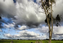 亿万28-关于荷甲赛程吃紧，那不勒斯清晨刷新队史纪录，压力陡增，团队化学反应显著的信息