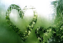 亿万28-关于荷甲赛程吃紧，那不勒斯清晨刷新队史纪录，压力陡增，团队化学反应显著的信息