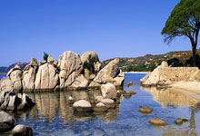 亿万28-关于荷甲赛程吃紧，那不勒斯清晨刷新队史纪录，压力陡增，团队化学反应显著的信息